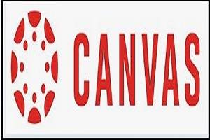 canvas-min (1)